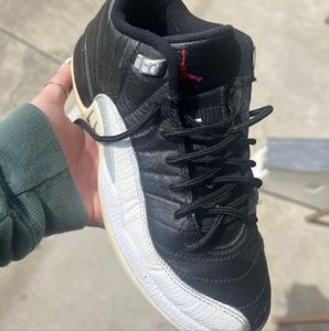 Jordan Air 12 retro